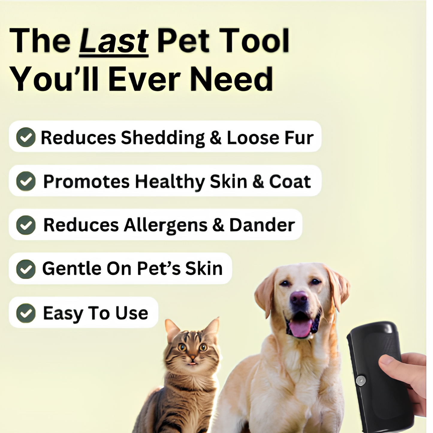 GroomGo